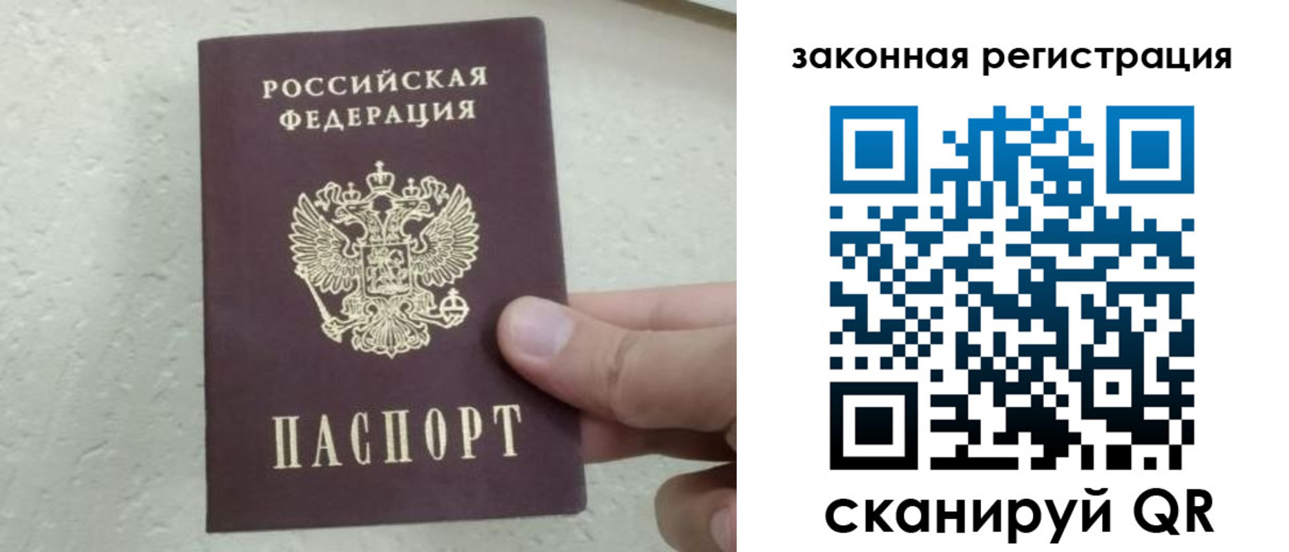 прописка поиск в Ульяновске